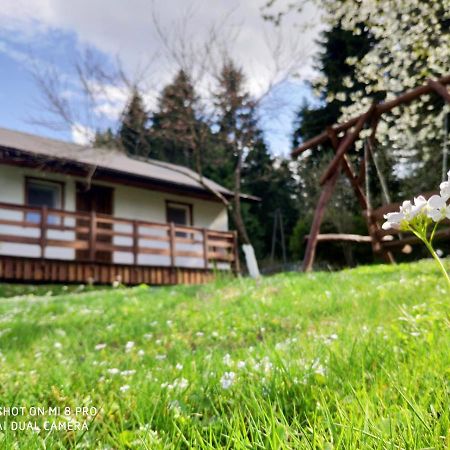 Wierchowyna Villa Uherce Mineralne Exterior foto