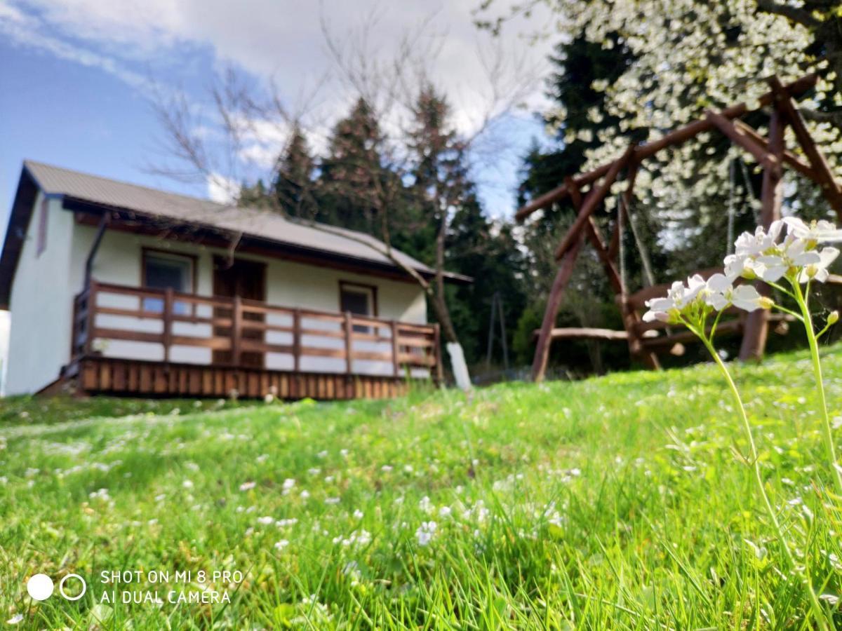Wierchowyna Villa Uherce Mineralne Exterior foto